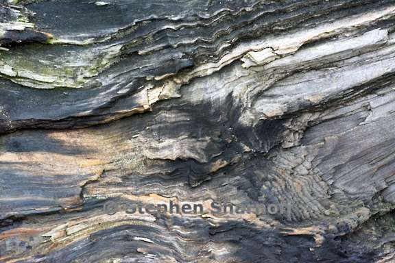 driftwood 3720 1 graphic